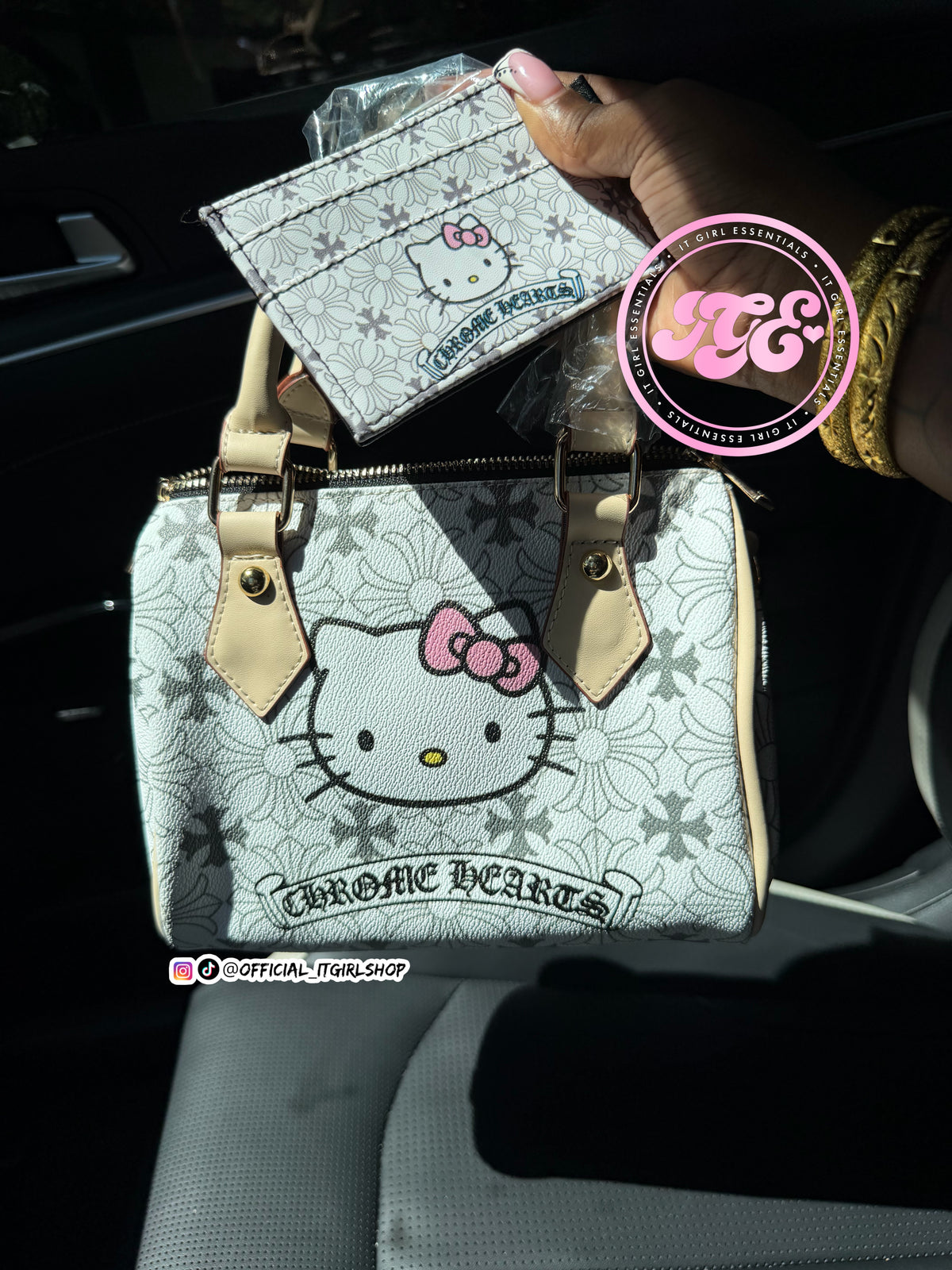Chrome Kitty Pillow Bag