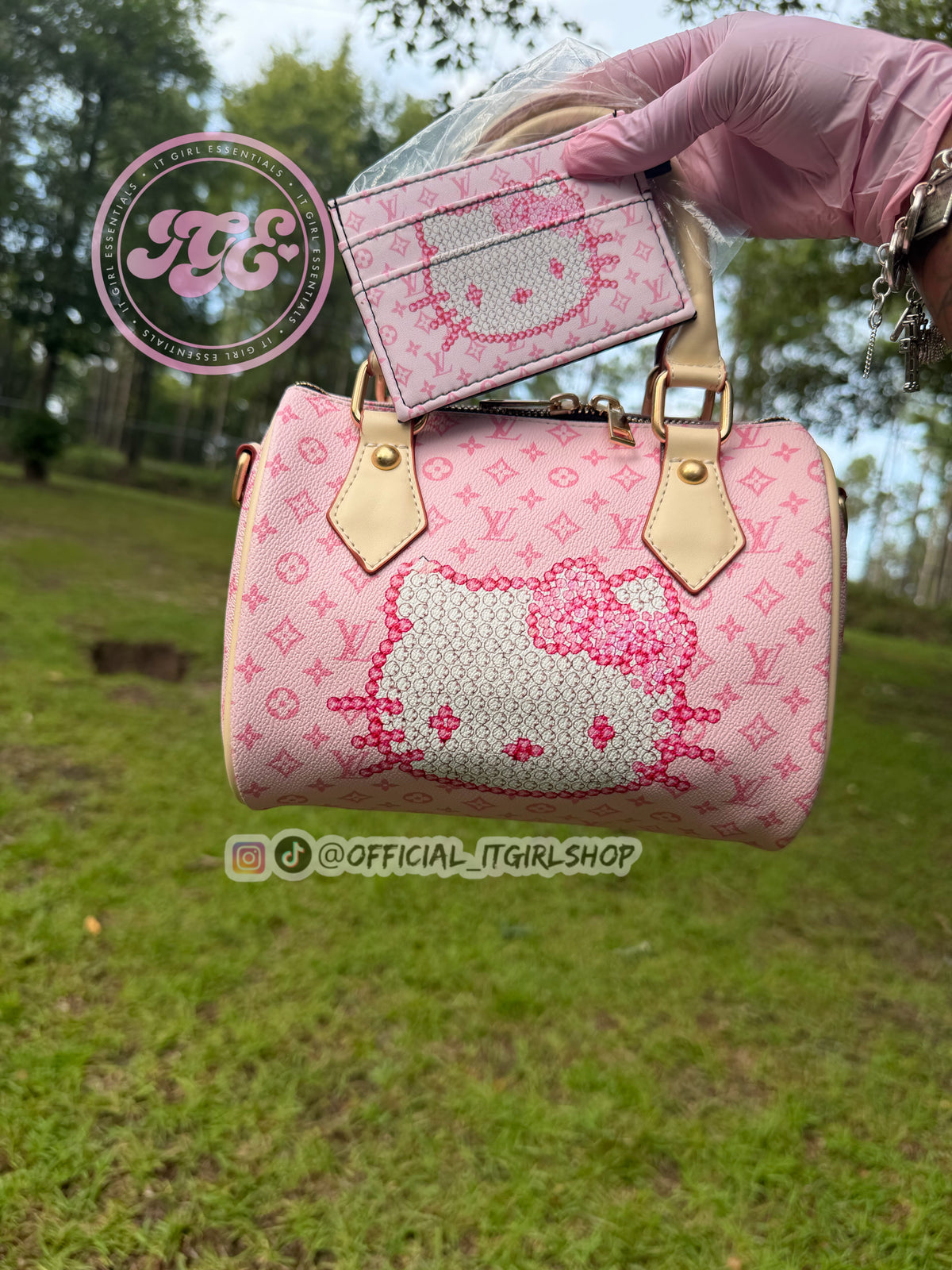 Designer Kitty Pillow Bag
